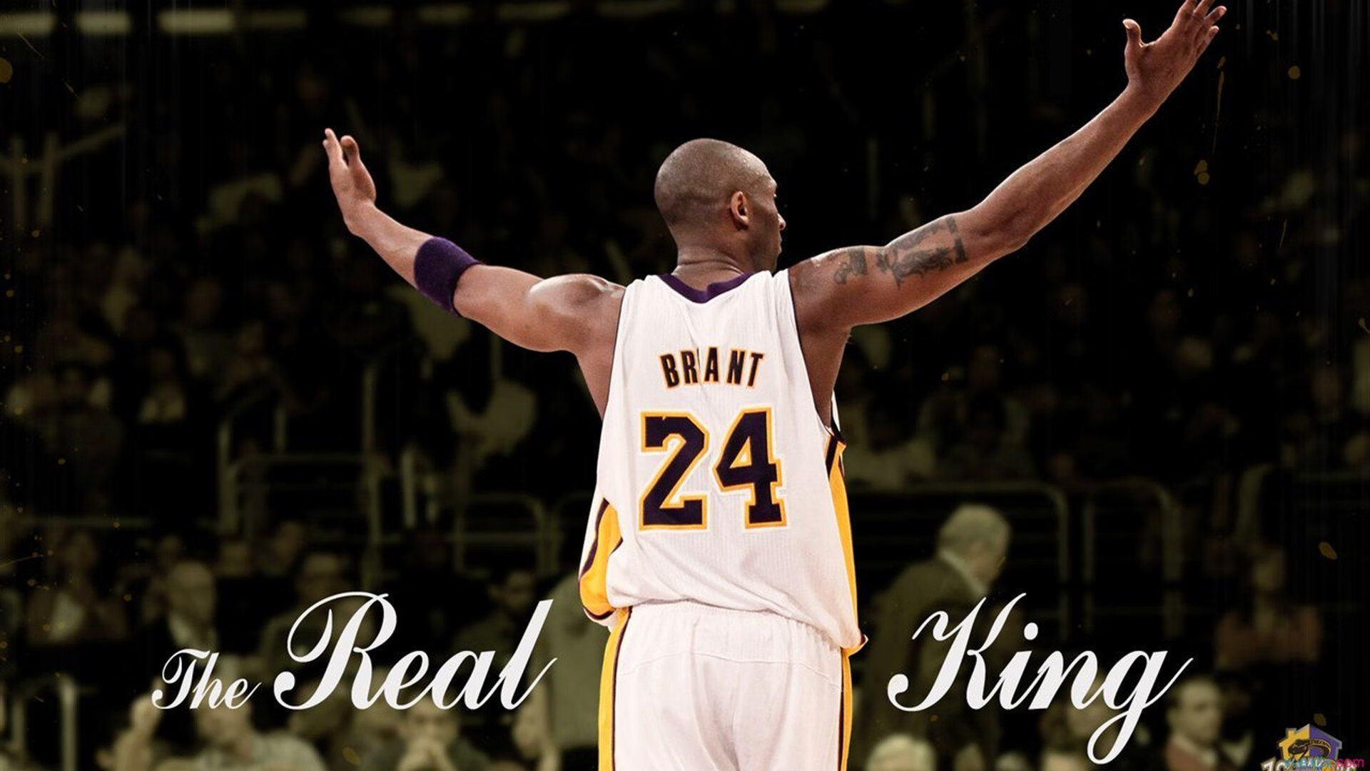 体育心理辅导助力运动员表现，体育心理辅导助力运动员表现怎么写