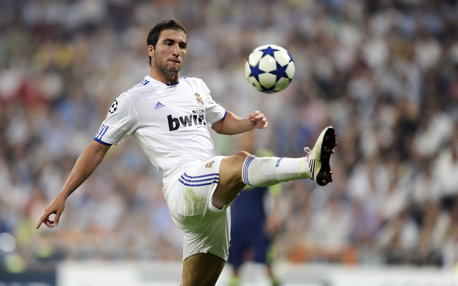 德甲球队的年轻球员培养措施,德甲球员年龄限制