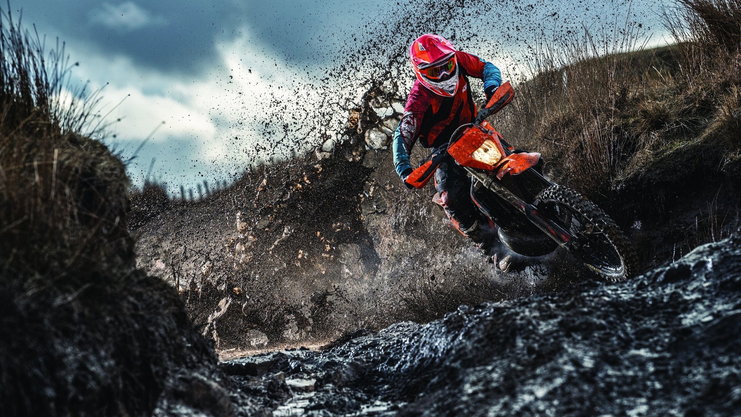 掘金小前锋在力量训练中提升核心稳定性,小前锋的训练